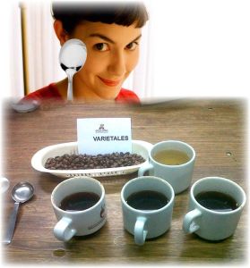 Amelie-y-la-catación