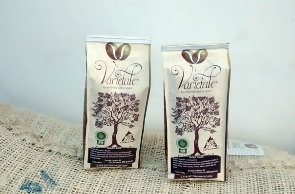 Los-dos-primeros-origenes