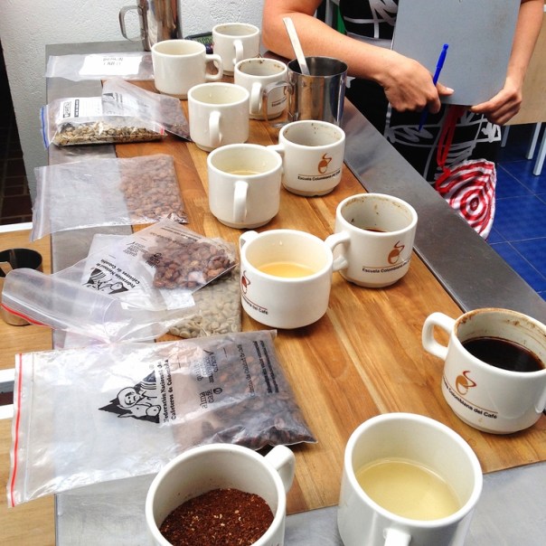 Coffe tastin Varietale