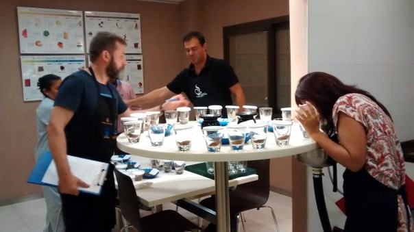 IMG_20160204_123328481