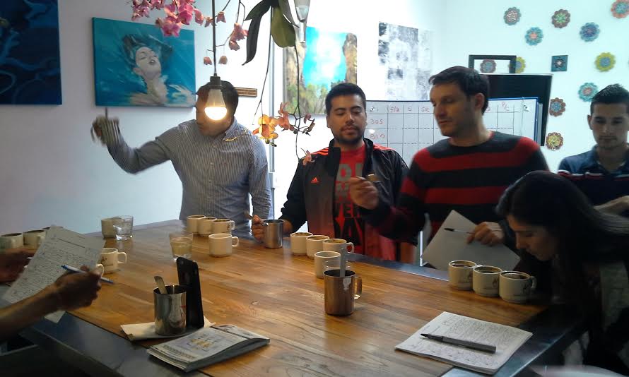 Cata Abril Varietale