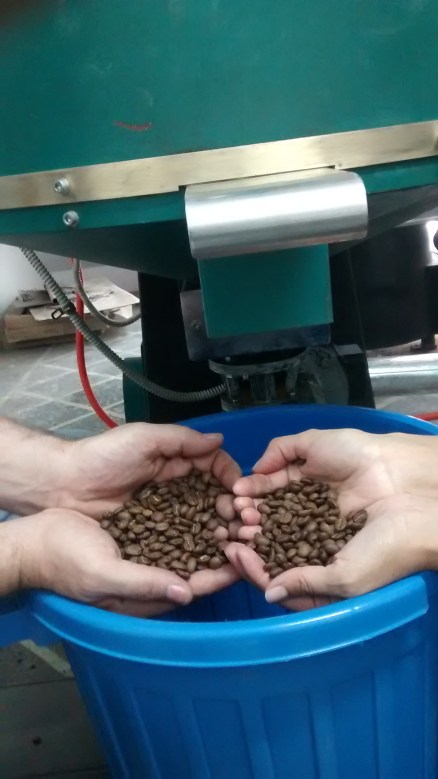 IMG_20151004_152139190