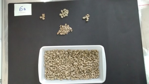 IMG_20160717_112300439