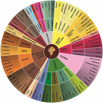 ultima-rueda-de-sabores-del-cafe