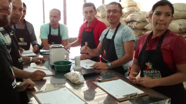 img_20161217_120610008