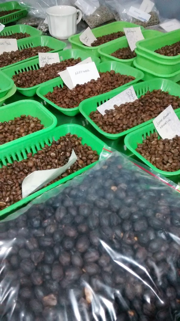 img_20170218_163312346