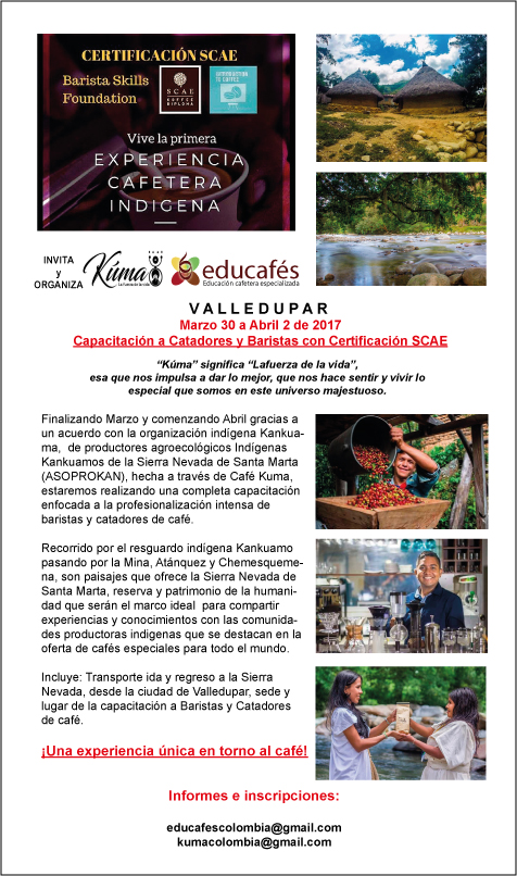 promo-kuma-barismo-y-catacion