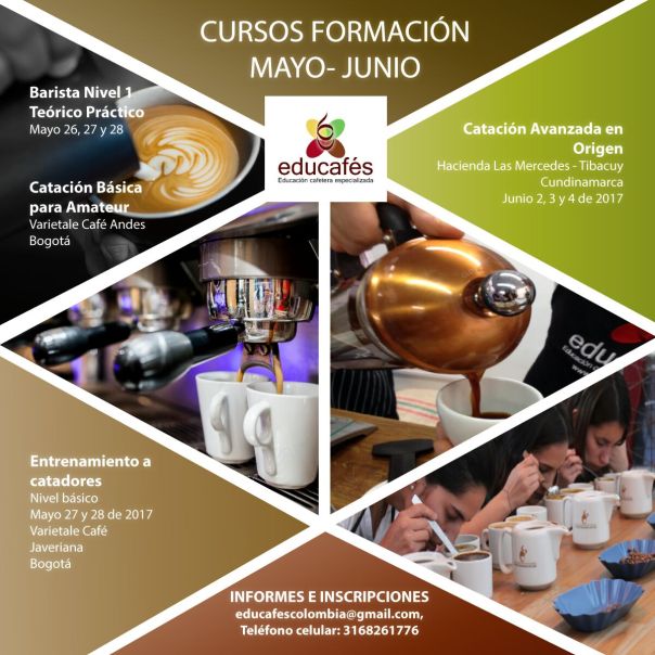 Promocursos MayoJunio