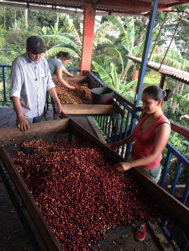 WhatsApp Image 2017-06-04 at 12.27.58 PM(1)