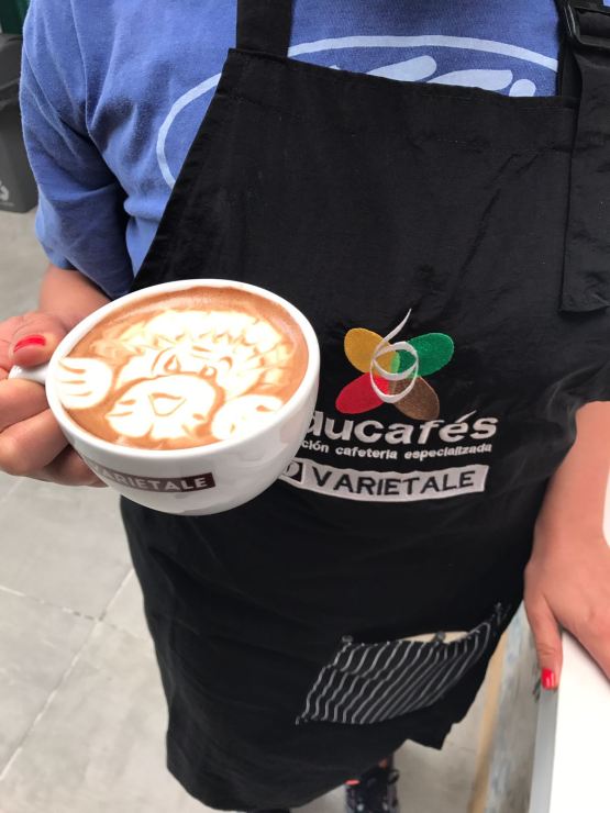 WhatsApp Image 2017-07-02 at 4.40.27 PM(3)