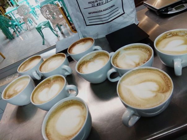 WhatsApp Image 2017-12-12 at 7.31.38 AM(1)