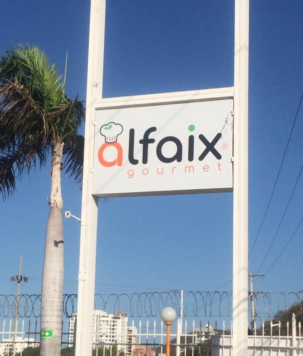 WhatsApp Image 2020-01-19 at 3.24.32 PM (1)